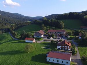 Angebot 261 Frühlingswandern im Bayerischen Wald