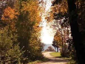 Angebot 262 Wandern im goldenen Herbst