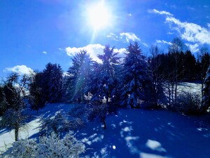 Angebot 264 Skitage im verschneiten Bayern