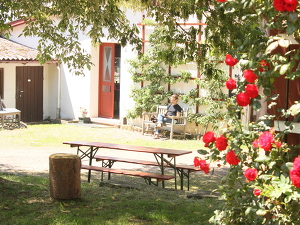 Angebot 4 "Auszeit mit Wald" (Auszeitseminar/Retreat)